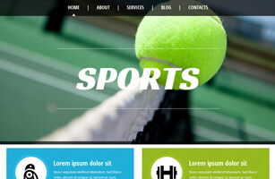 Sport Website